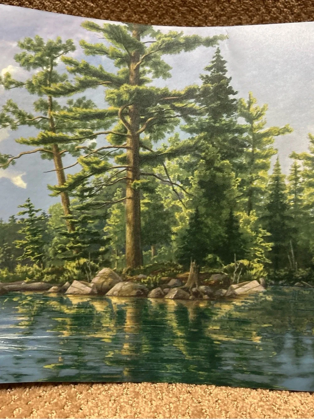 VTG 4 ROLLS SEABROOK DESIGNS CABIN LAKE WATER LOONS TREE WALLPAPER BORDER HB701B